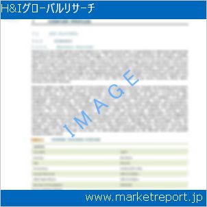 市場と産業調査レポートのイメージ